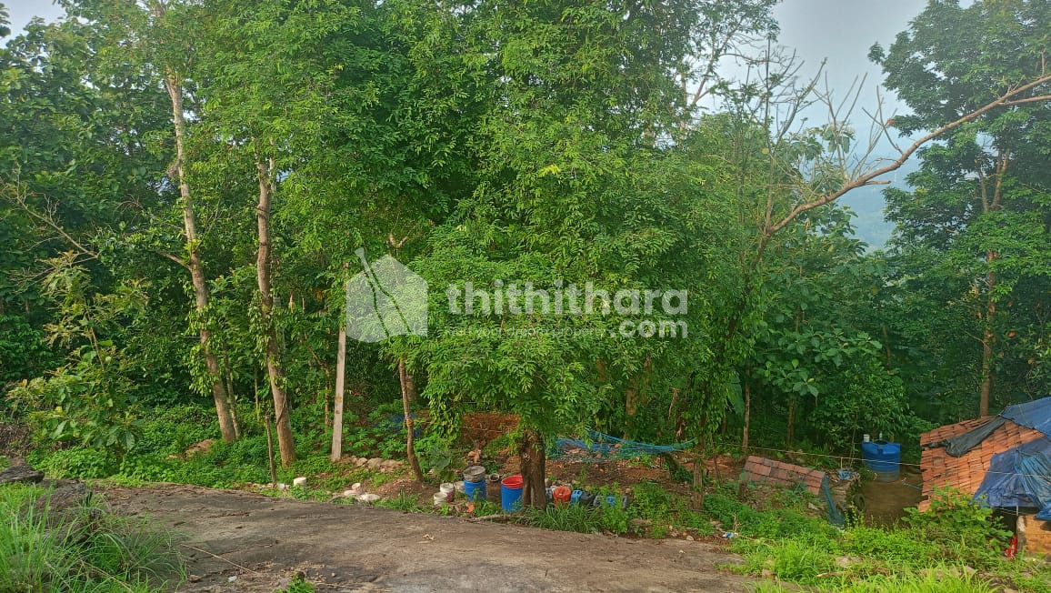 Residential land available for Sale in Mattathipara Po Thodupuzha Idukki