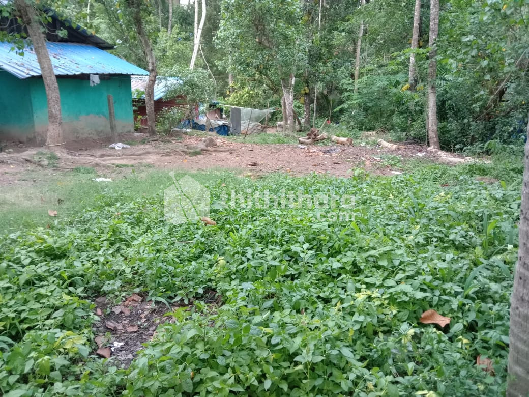 Residential Land available for Sale in Chirayinkeezhu Thiruvananthapuram