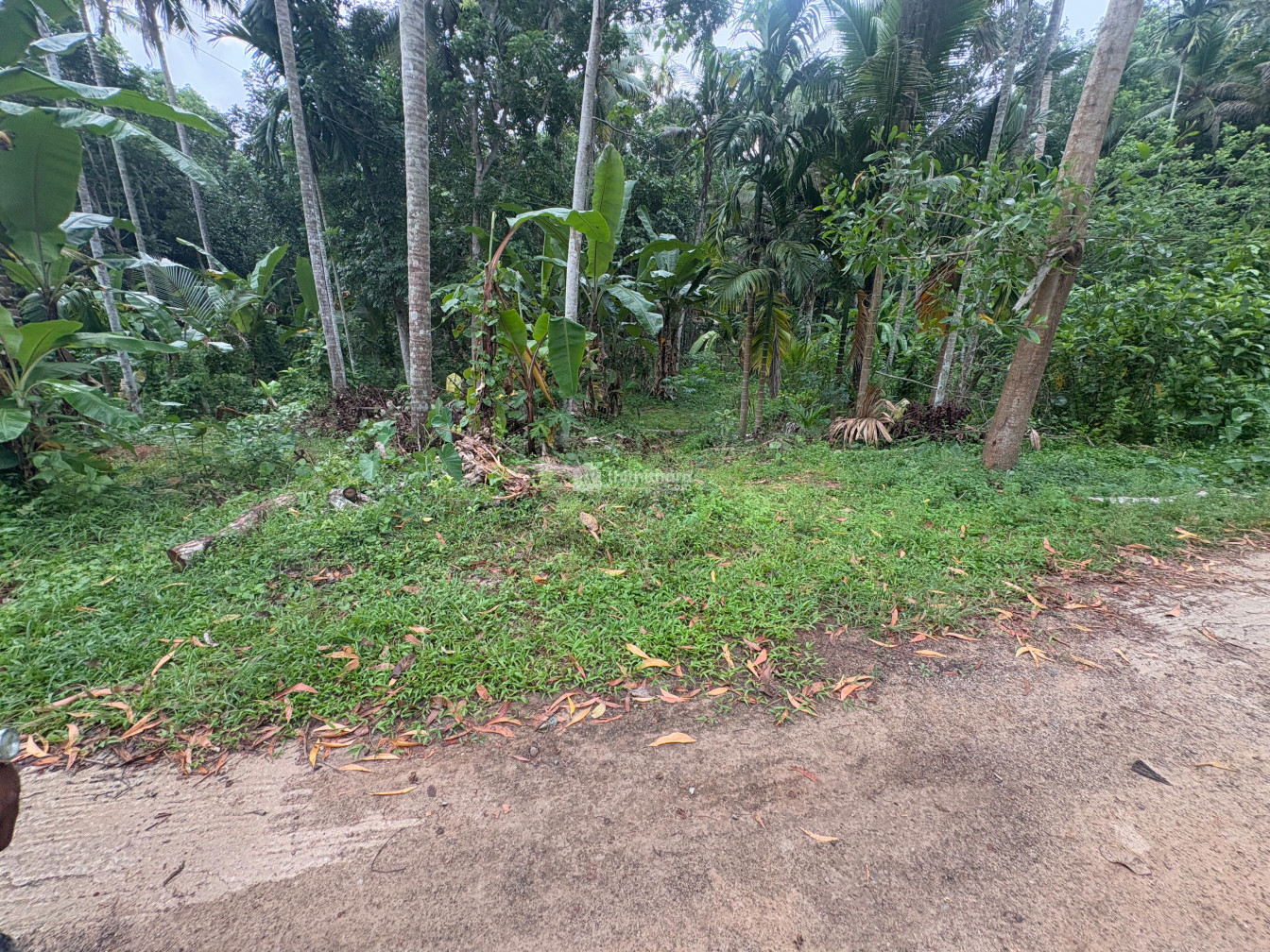 Residential Land available for Sale in Kattakkada Thiruvananthapuram
