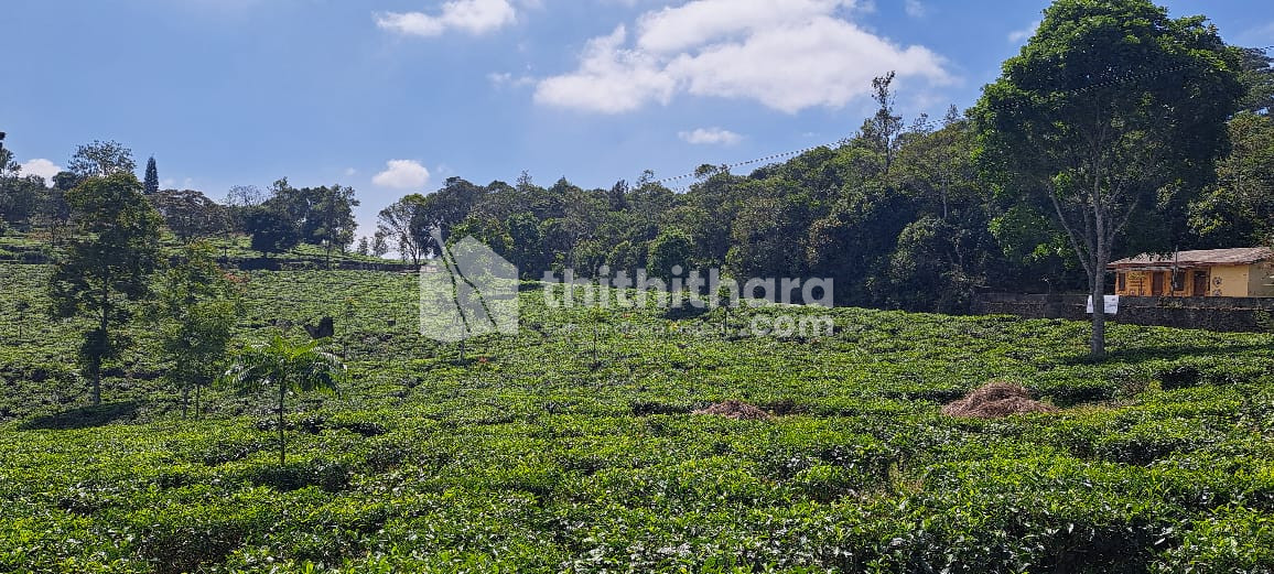 Agricultural land for sale at Idukki Vandiperiyar