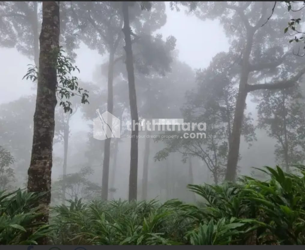 Commercial Plot for Sale in Devikulam Idukki 