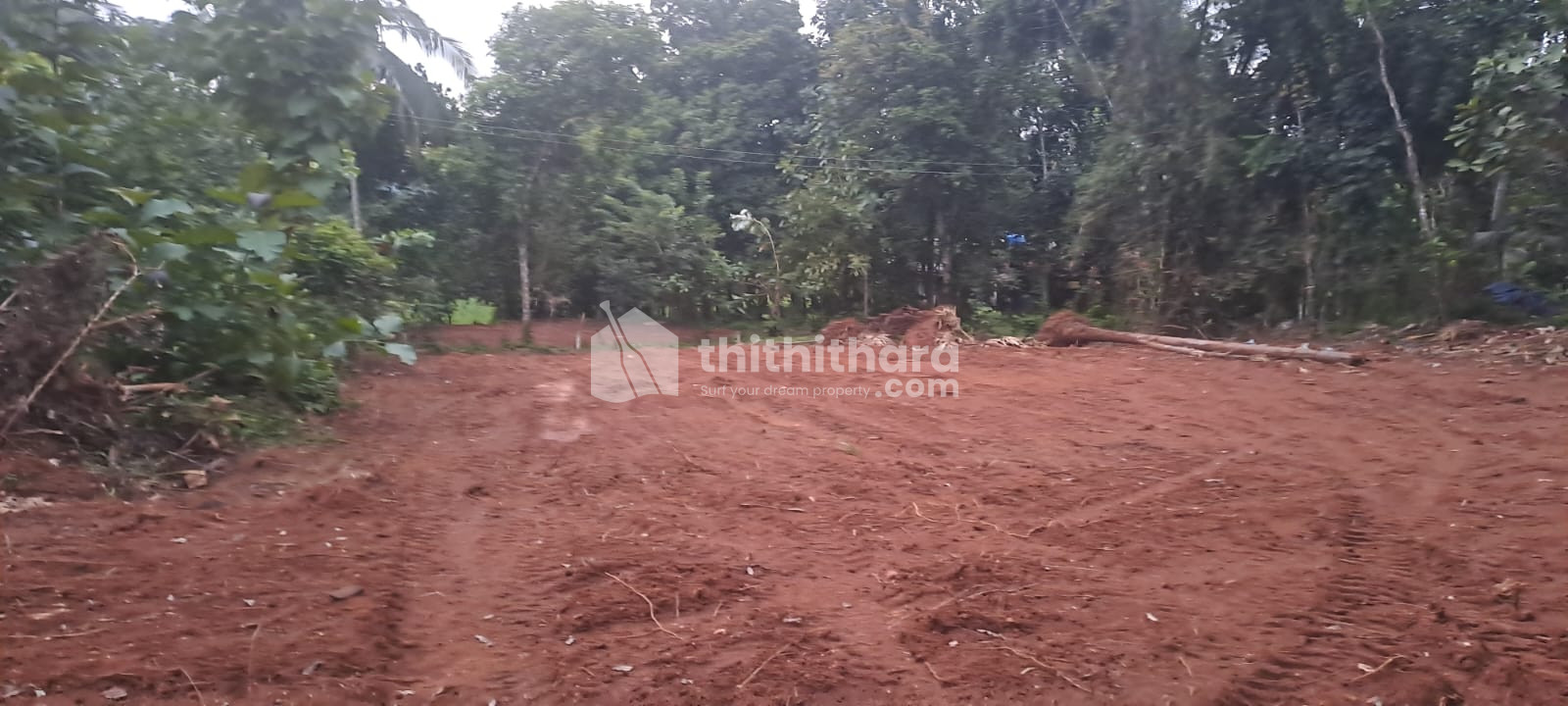 Residential land for sale at Otappalam Palakkad  