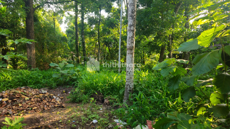 Residential Land for sale at Chathannoor Kollam 