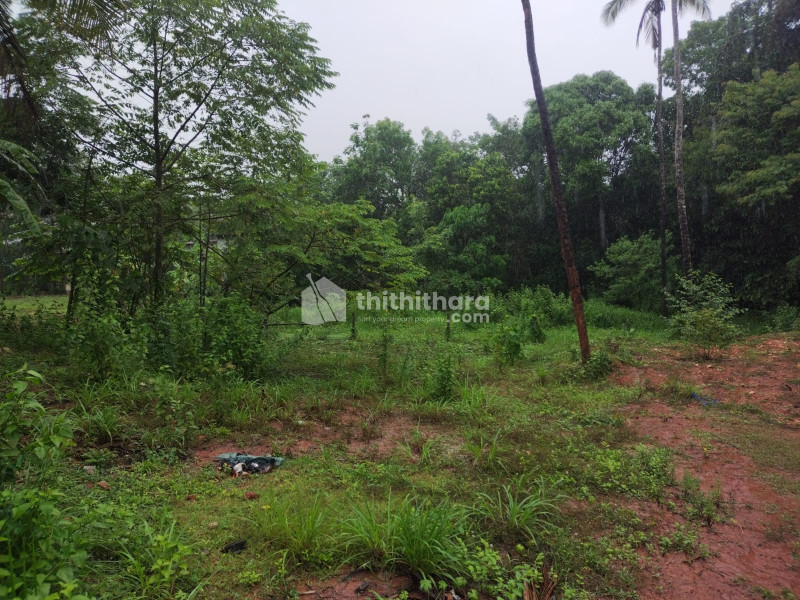 Residential Land for sale at Edayannur Kannur
