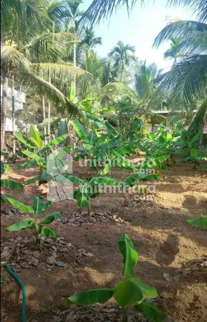 Residential Land for sale at Aluva Ernakulam