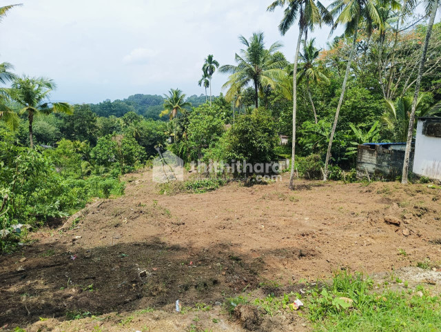 Commercial Plots available for Sale in Pezhumoodu, Kattakkada, Thiruvananthapuram