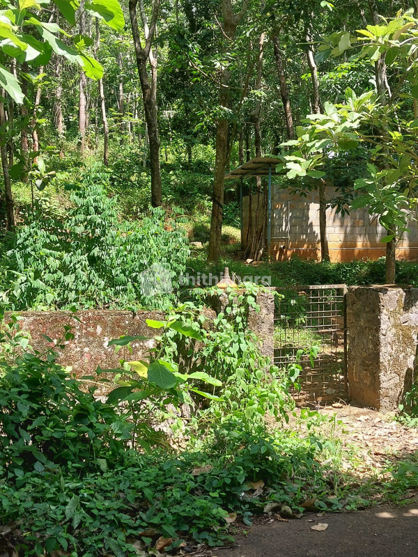 Commercial Plot for sale at Thiruvilwamala Thrissur