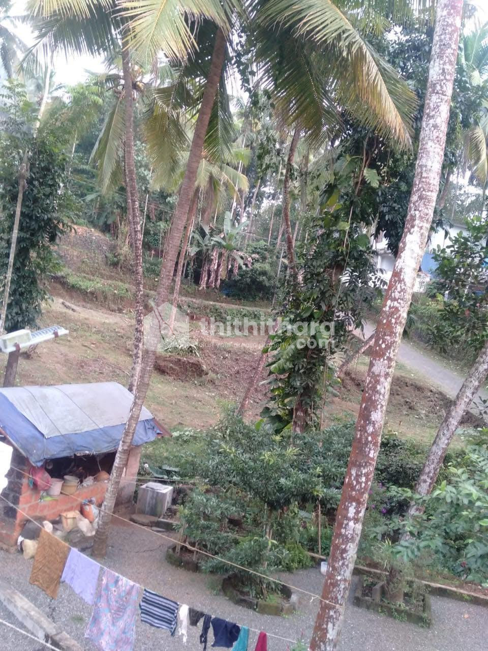Residential Land For Sale In Pullurampara Kozhikode