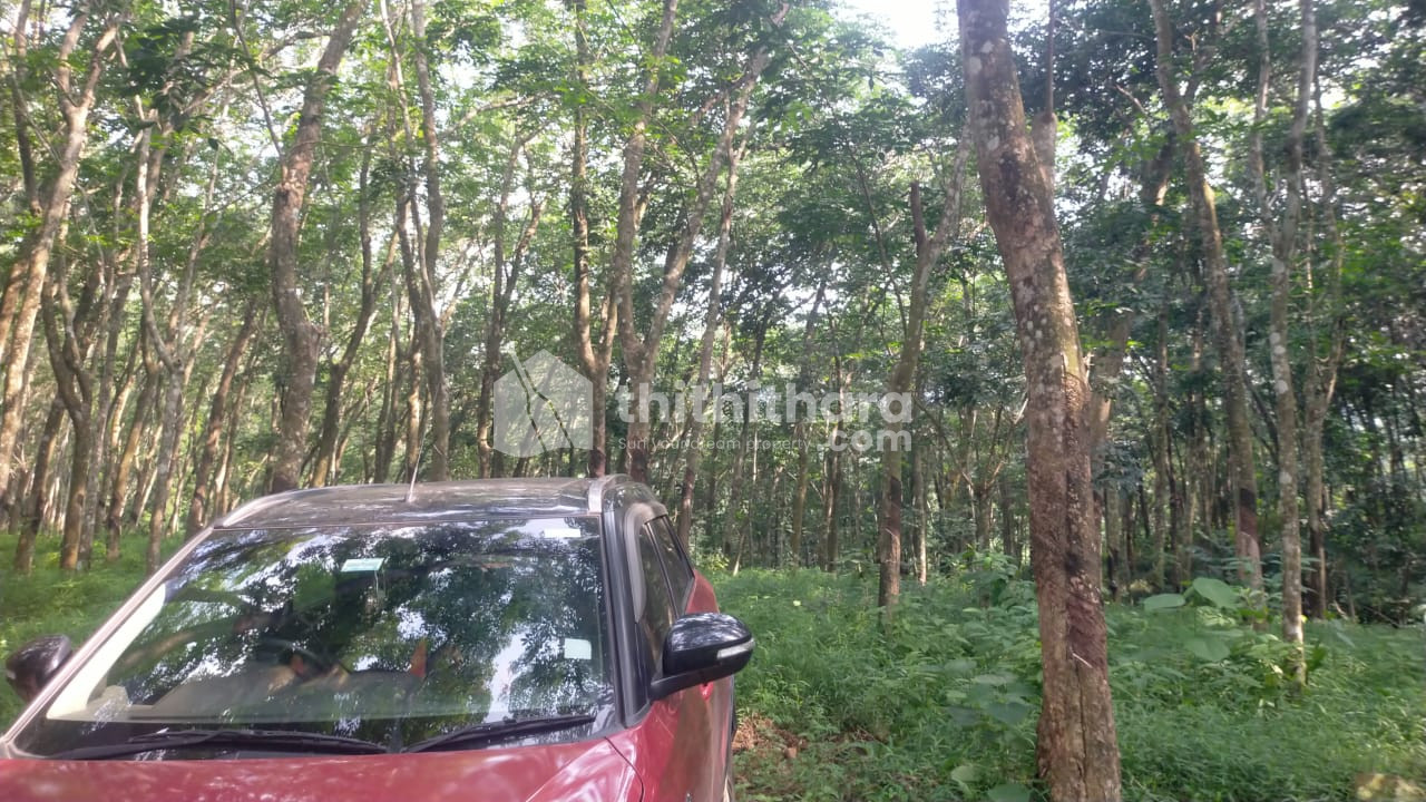 Residential Land For Sale In Nedumangad Thiruvananthapuram