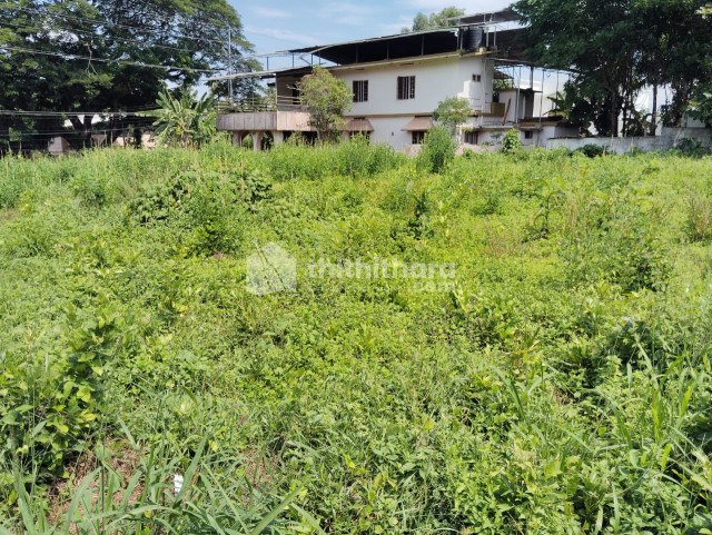 Commercial Plots available for Sale in Thengana Kottayam
