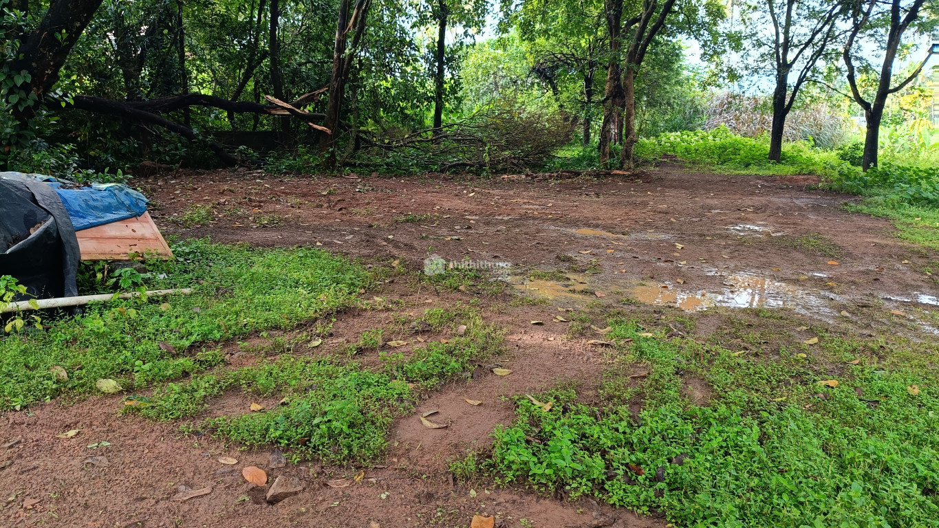 Residential Plot for sale in Thrissur Palakkal