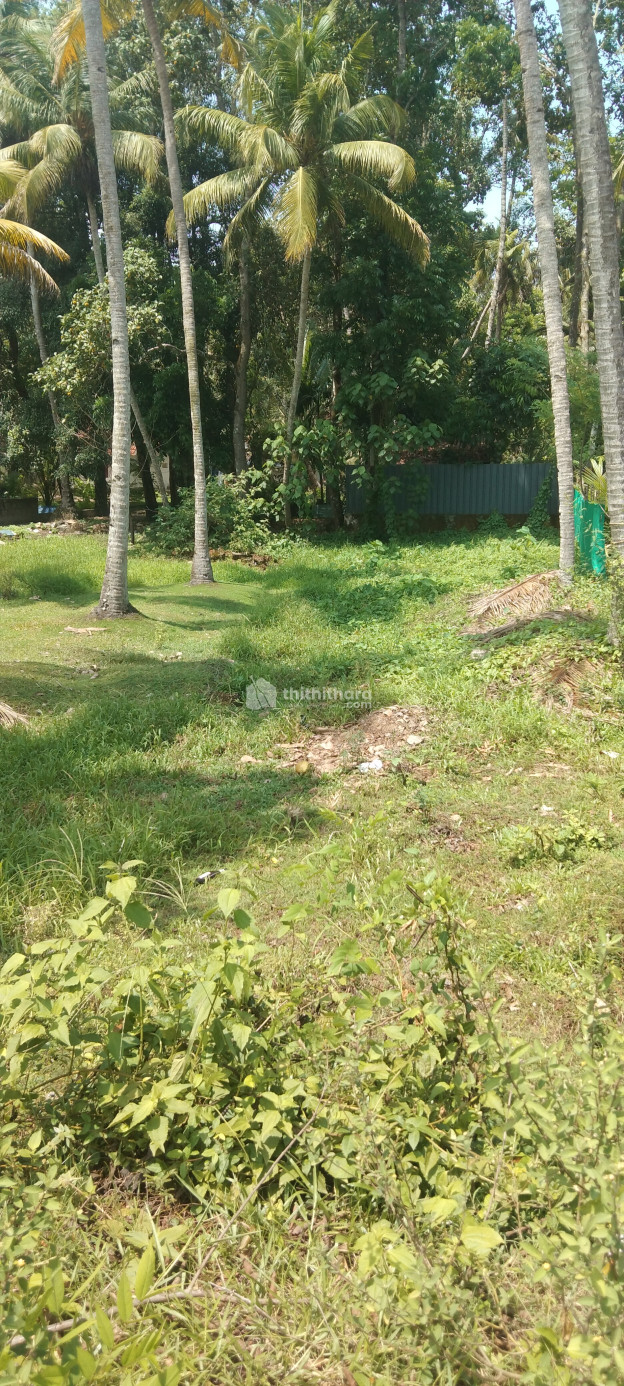 Residential Land for sale at Kayamkulam Alappuzha 