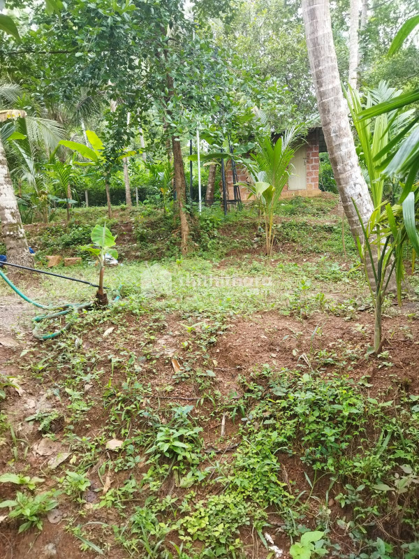 Residential Land For Sale In Chakkarakkal Kannur