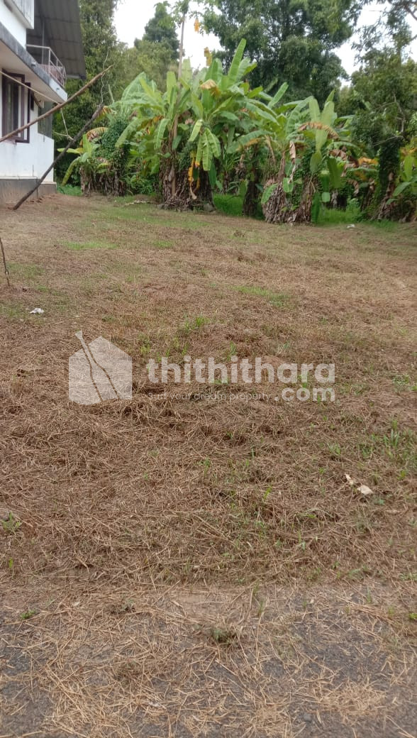 Residential Land For Sale In Kundoor Thrissur