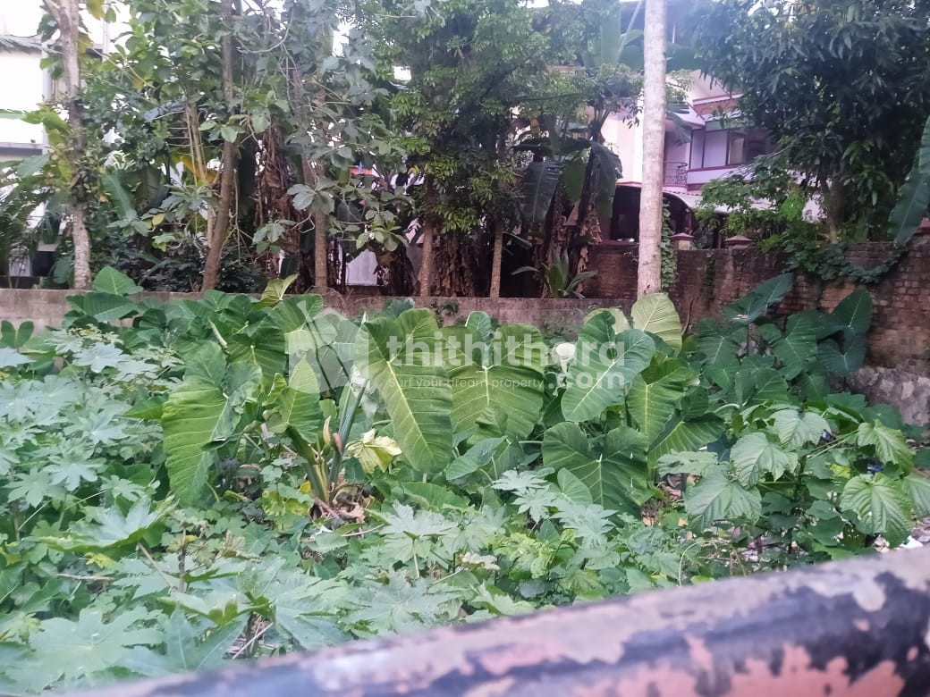  Residential Land For Sale In Kowdiyar Thiruvananthapuram