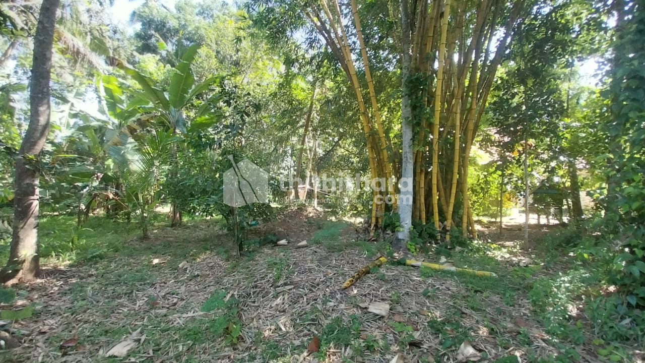 Residential land for sale at Vizhinjam Thiruvananthapuram