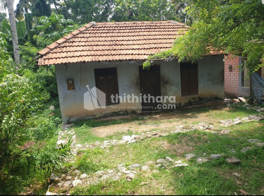 6 cent with small house at Keralapuram, Kollam