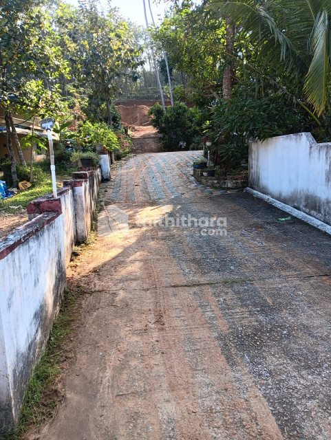  Residential Land for sale Nedumangad Thiruvananthapuram