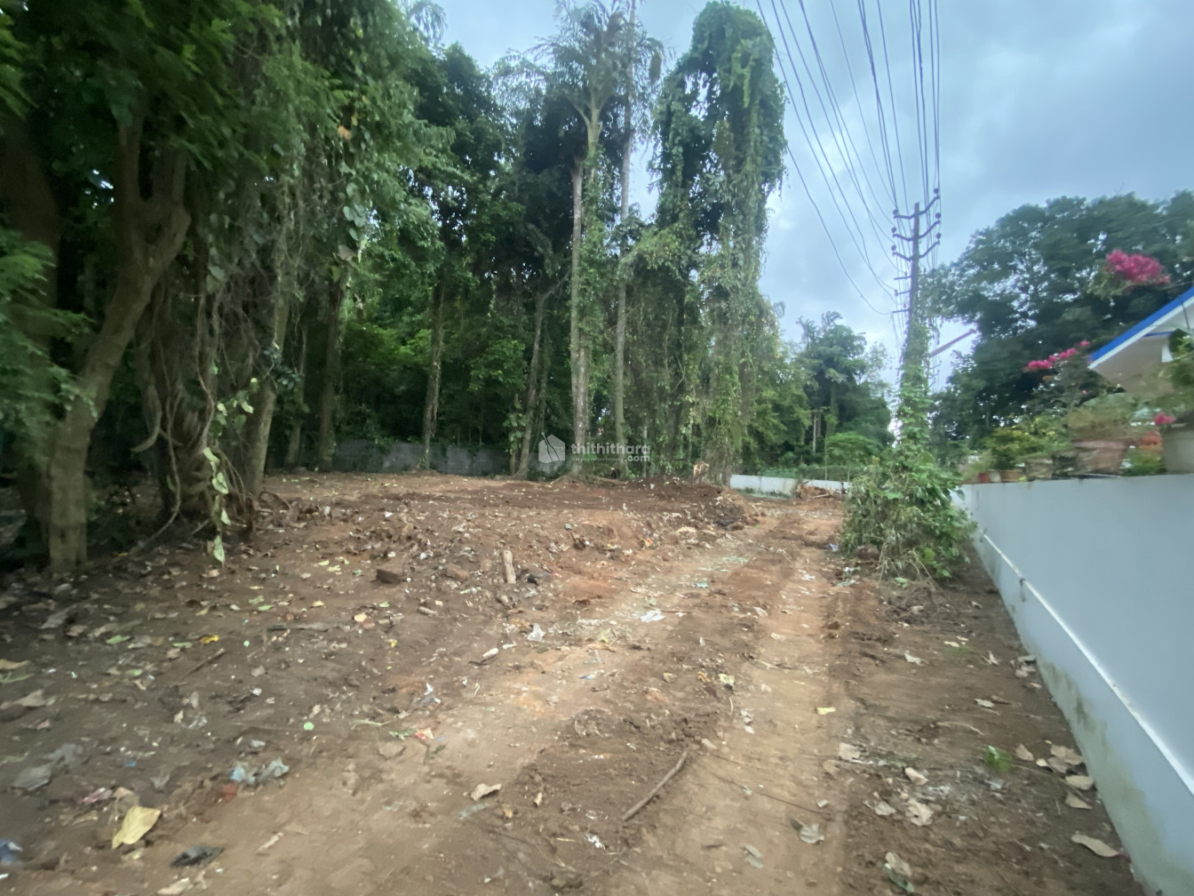Residential land for sale in Nattassery Kottayam