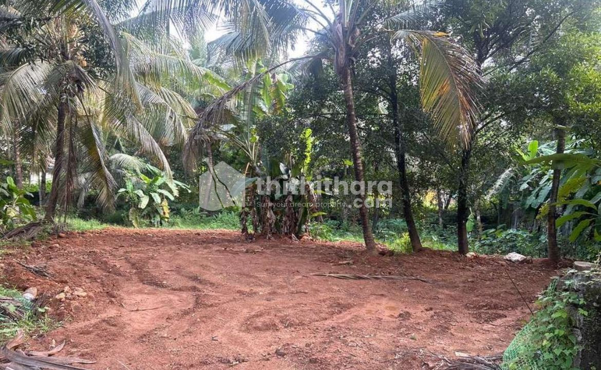 Residential land for sale at Shornur Palakkad