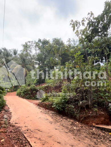 Residential Land for sale at Kondotty Malappuram 
