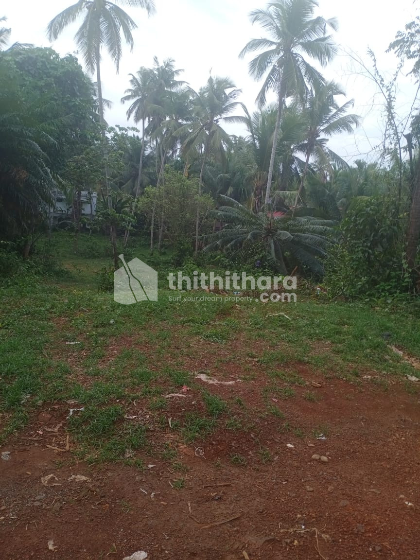 15 Cent Residencial Land for Sale