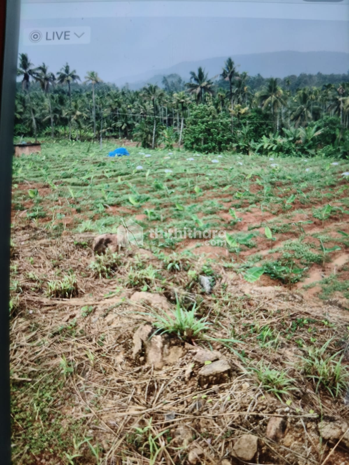 Residential Land For Sale In Thekkumpadam Thrissur