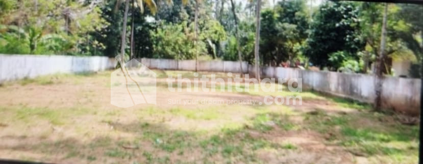 Residential Land For Sale In Thekkumpadam Thrissur 