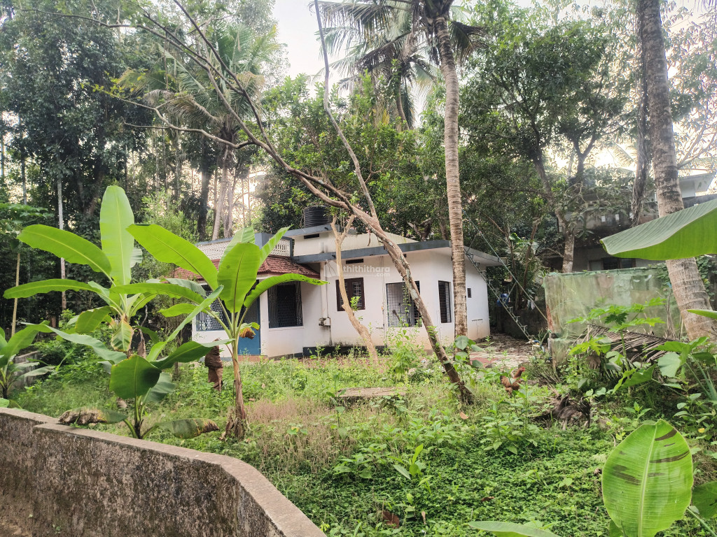 2 BHK Independent House for sale at Kolenchery Ernakulam