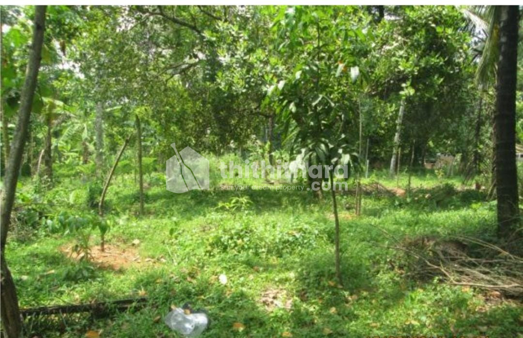 Residential Land For Sale In Vellarakkad Thrissur