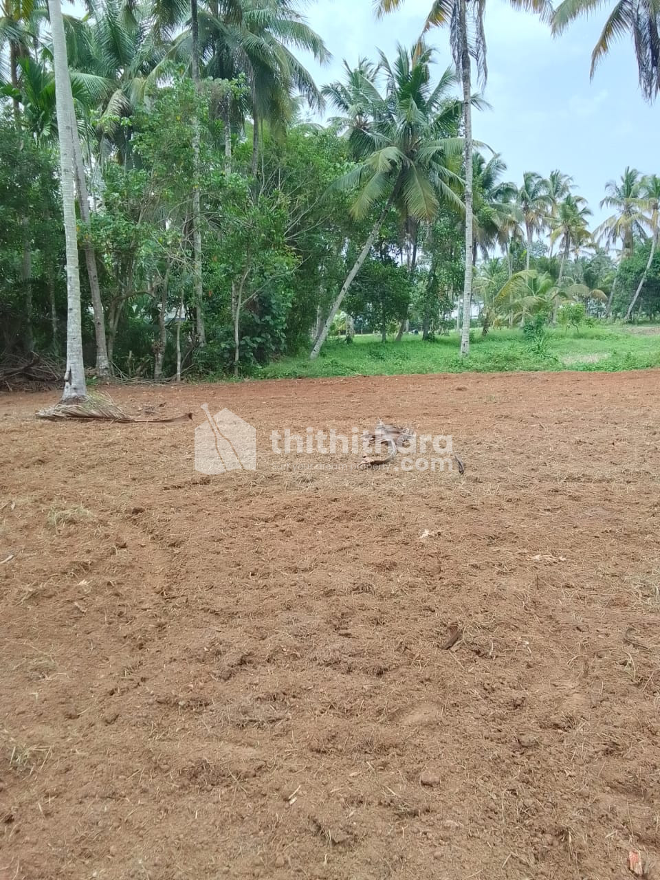 Residential Land for sale at Kayamkulam Alappuzha 