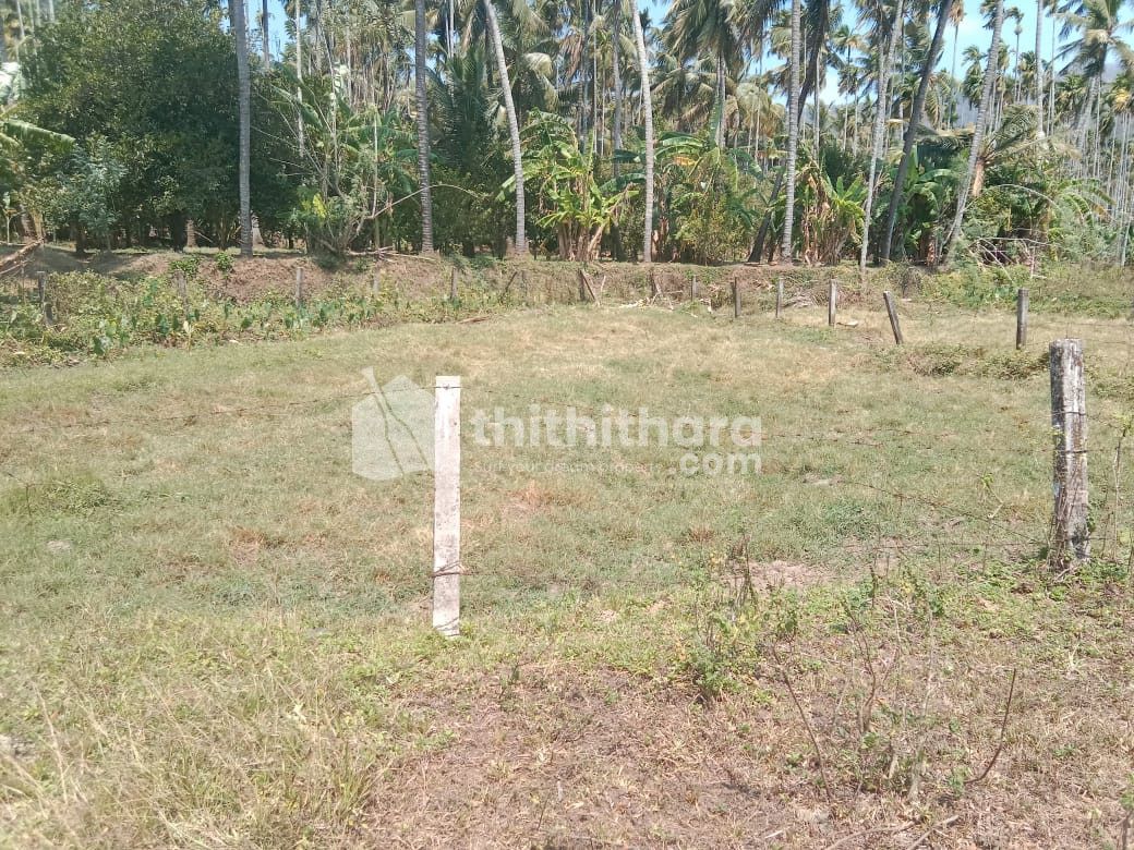  Residential Land For Sale In Mannuthy Thrissur  