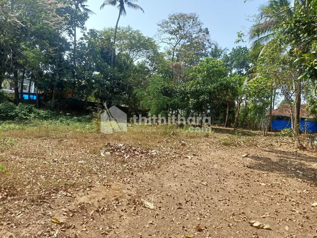 Residential land for sale at Chalakudy Thrissur