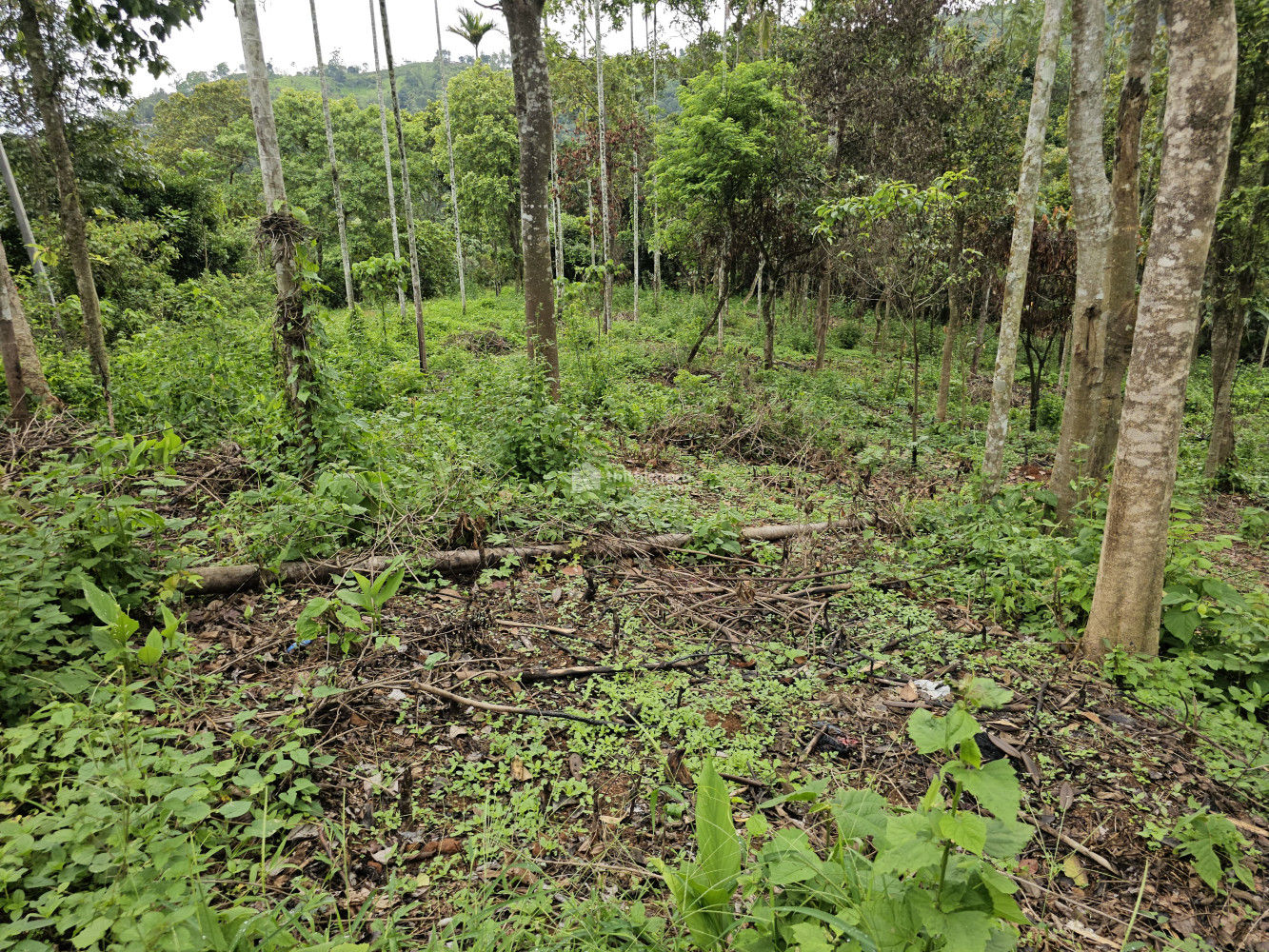 Residential land for sale in Idukki