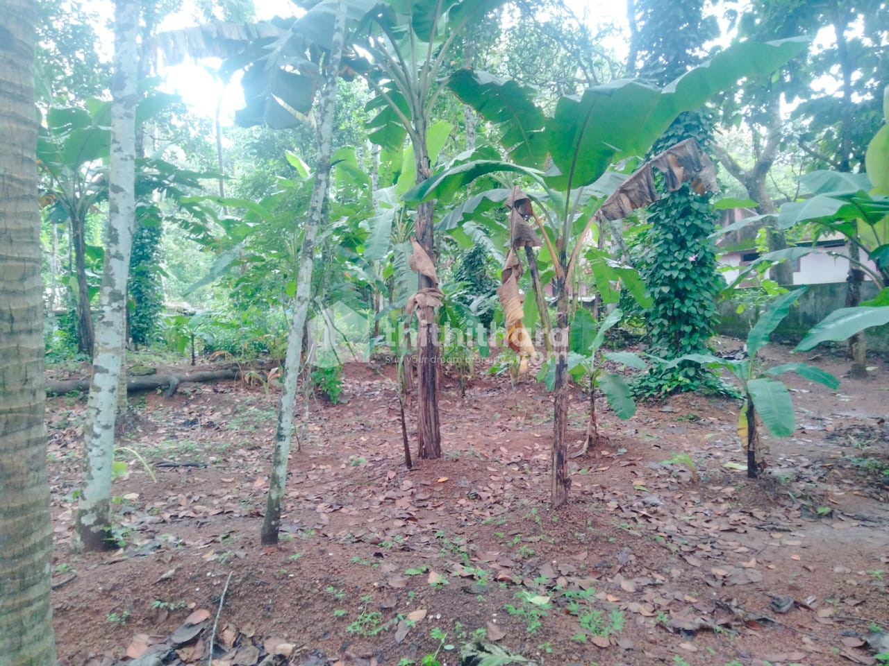 Residential land for sale In Kottarakkara Kollam