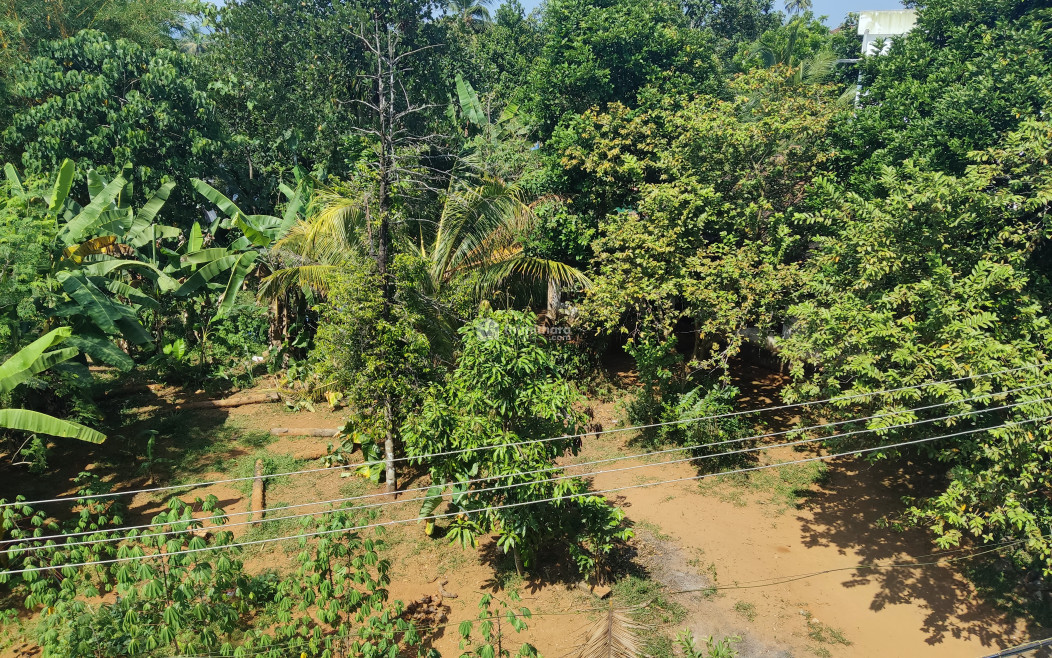 Residential land for sale in Thodupuzha Idukki