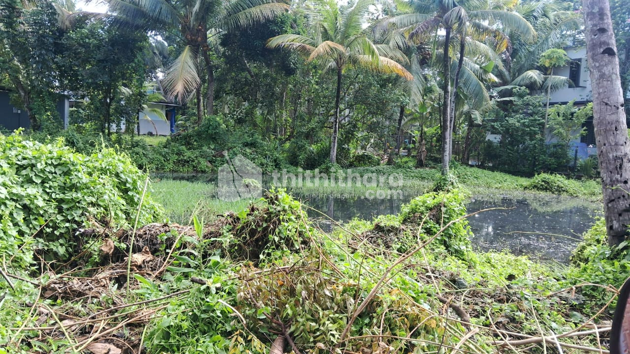 Residential land for sale at Karunagappally Kollam 