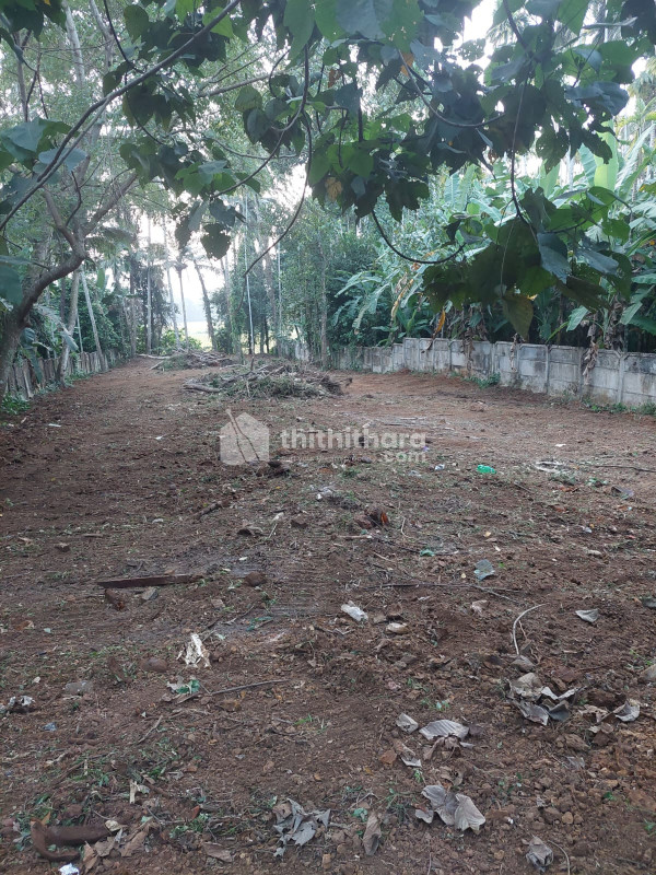 Residential land for sale at Kunnamkulam Thrissur 
