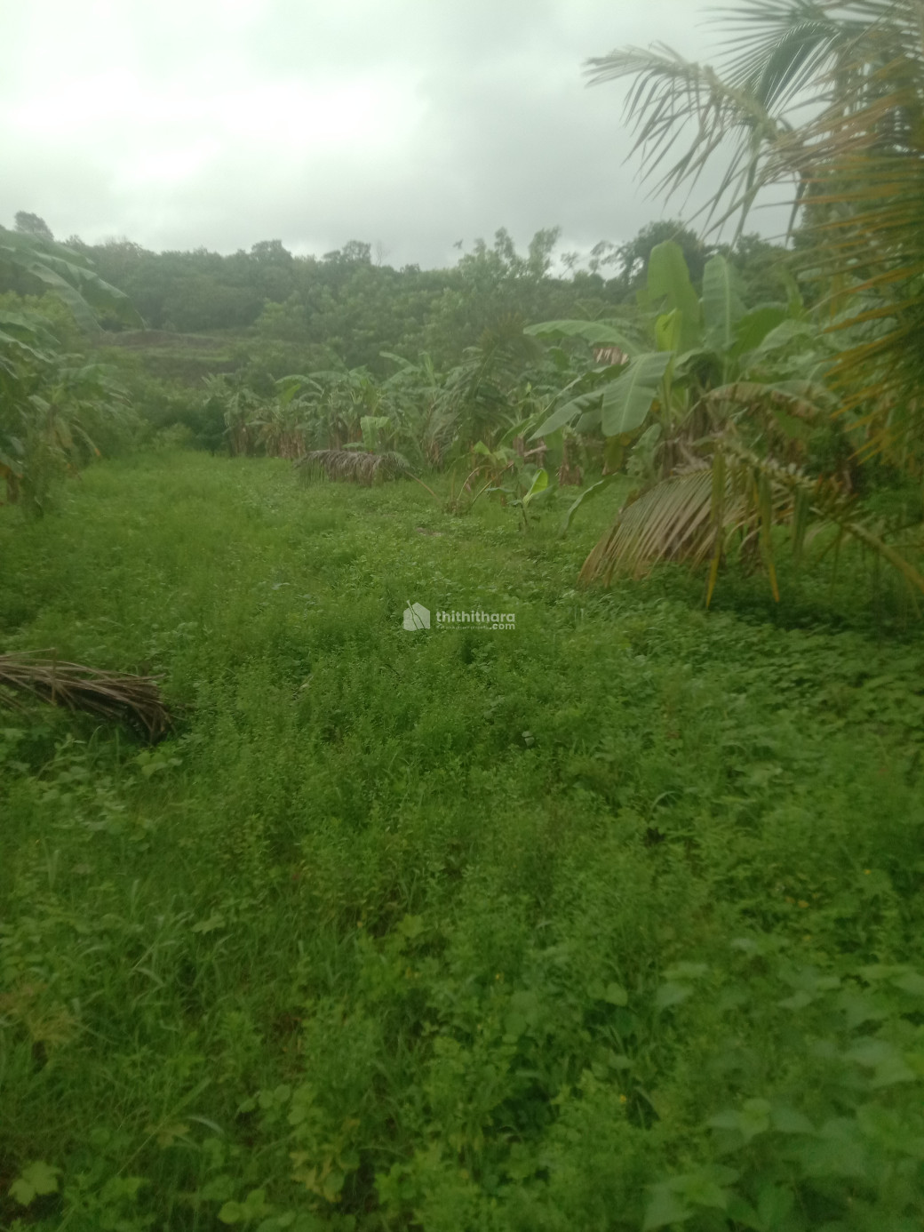 Commercial Plot for sale at Valakkav Thrissur 