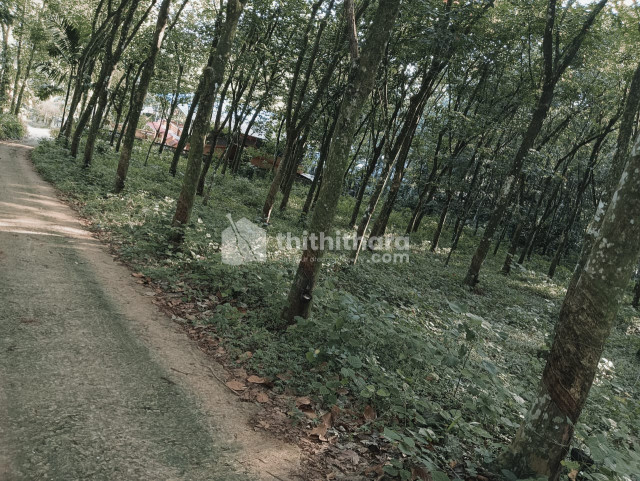 Residential Land For Sale In Mallappally Pathanamthitta