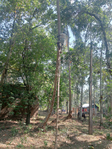 Plot for sale at Vattoli, Balusseri