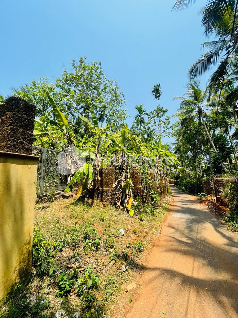 29 cent land for sale at Kohinoor ,Malappuram