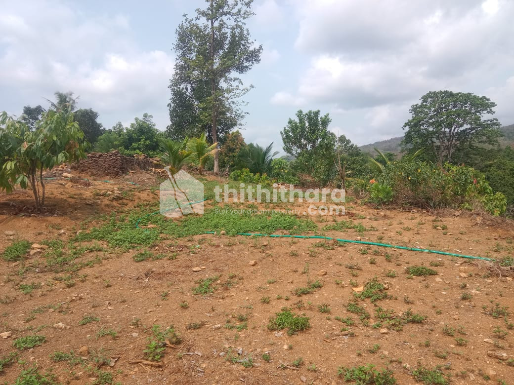 Commercial Plots for sale at Kothamangalam Eranakulam 