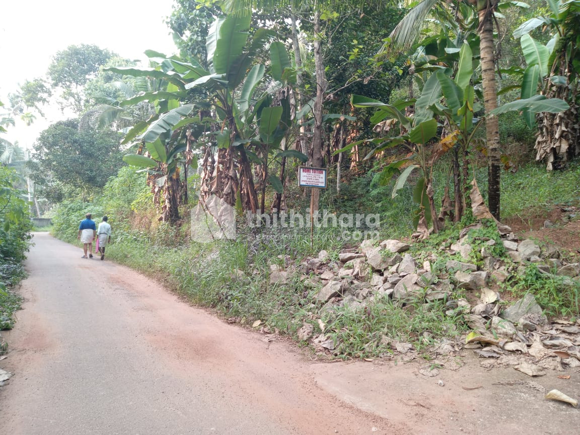 Residential land for sale in Nedumangad Thiruvananthapuram