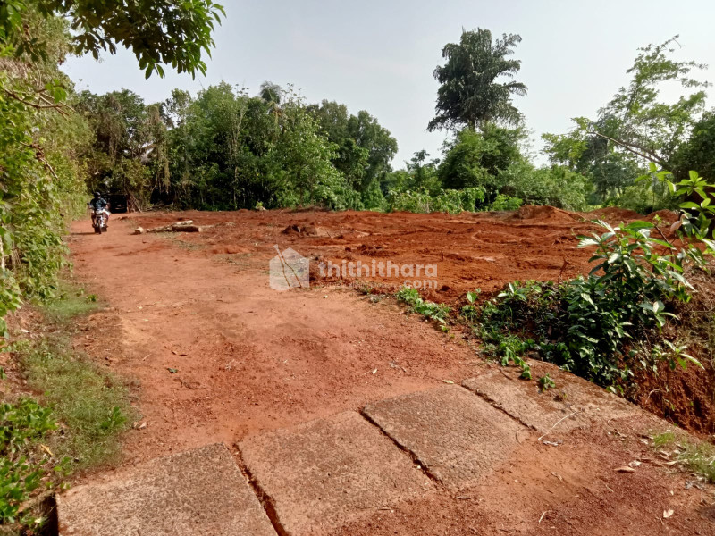 Residential land for sale in Velappaya Thrissur