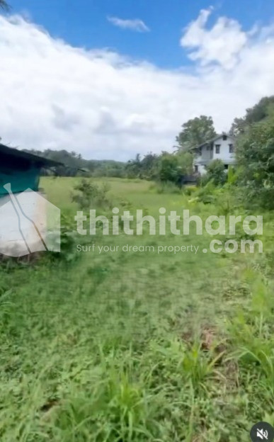Residential land for sale in Manjeri Malappuram 