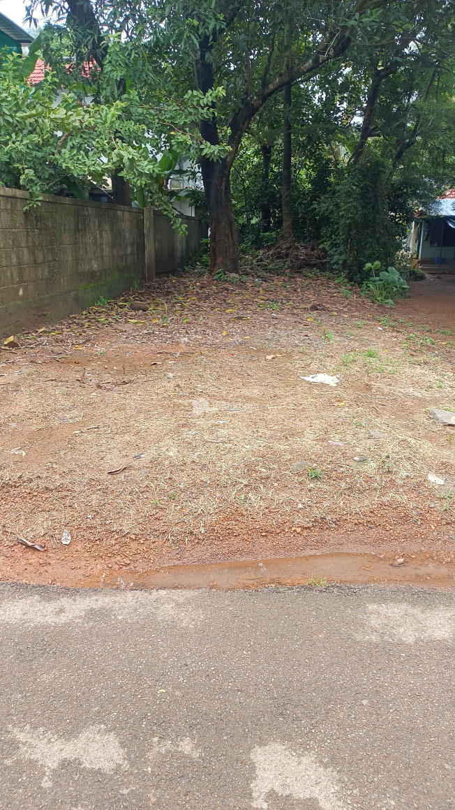  Residential Land For Sale In Arimpur Thrissur 
