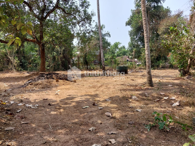 Residential Land  For Sale In Kodungallur Thrissur