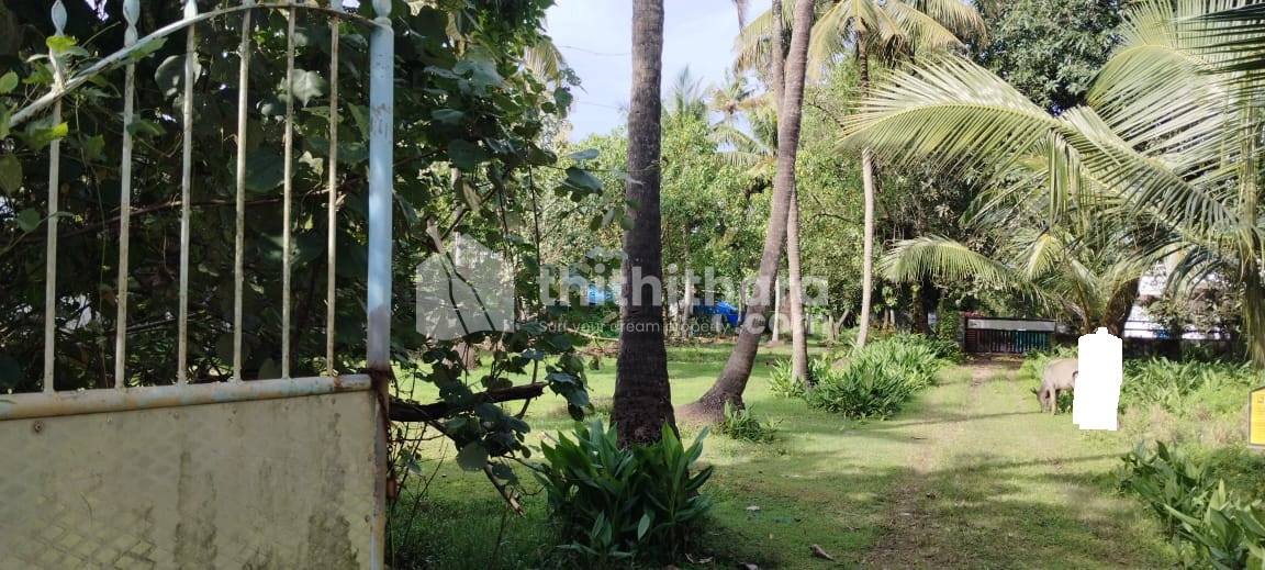 Residential Land for sale in Vypen Ernakulam 
