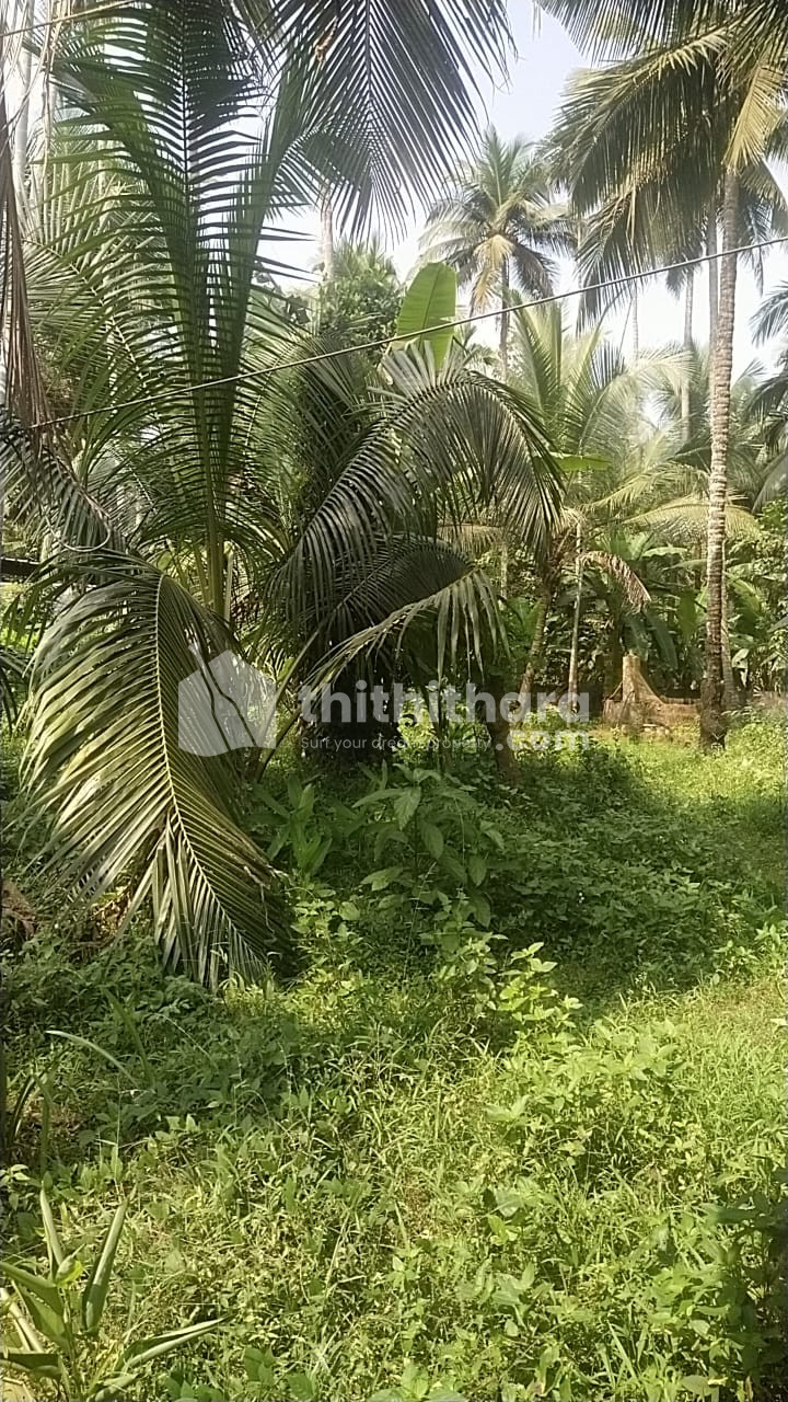 Commericial Plot For Sale In Velliyoor Kozhikode